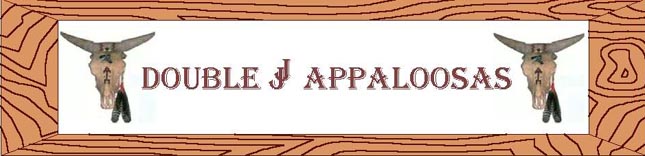 Double J Appaloosas Banner
