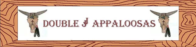 Double J Appaloosas banner